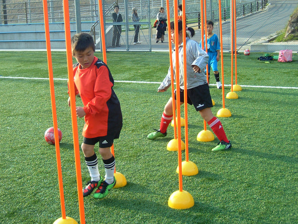 値頃 training-pole-06_grande.jpg?v= エクササイズグッズ